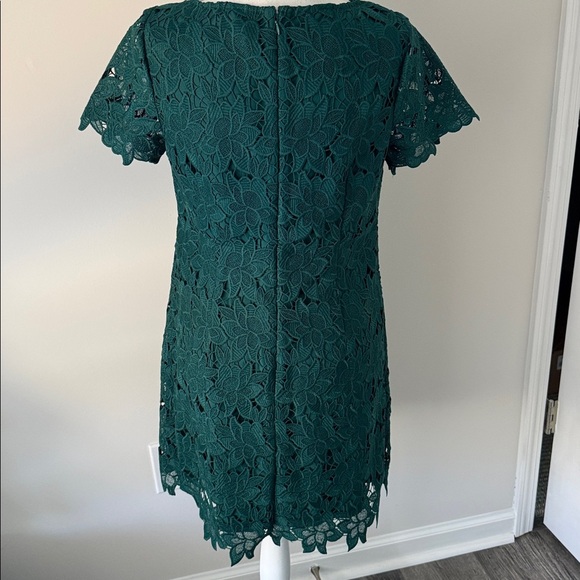 Ann Taylor Factory Holiday Green Lace Short Sleeve Dress Size 6P - Picture 3 of 7